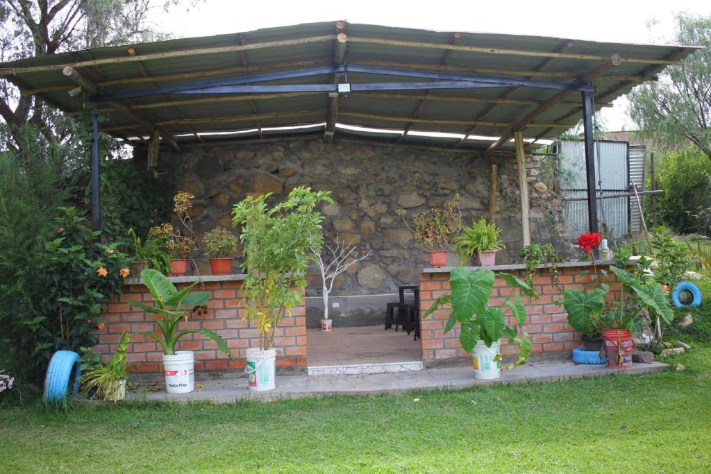 Zahrada ubytování Hostel "La Casa de Ricky"