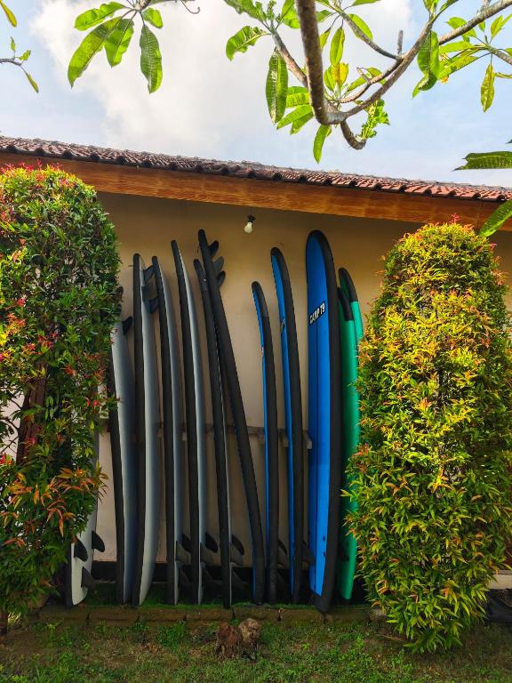 Fotografie z fotogalerie ubytování Surf Camp 79 v destinaci Kuta Lombok