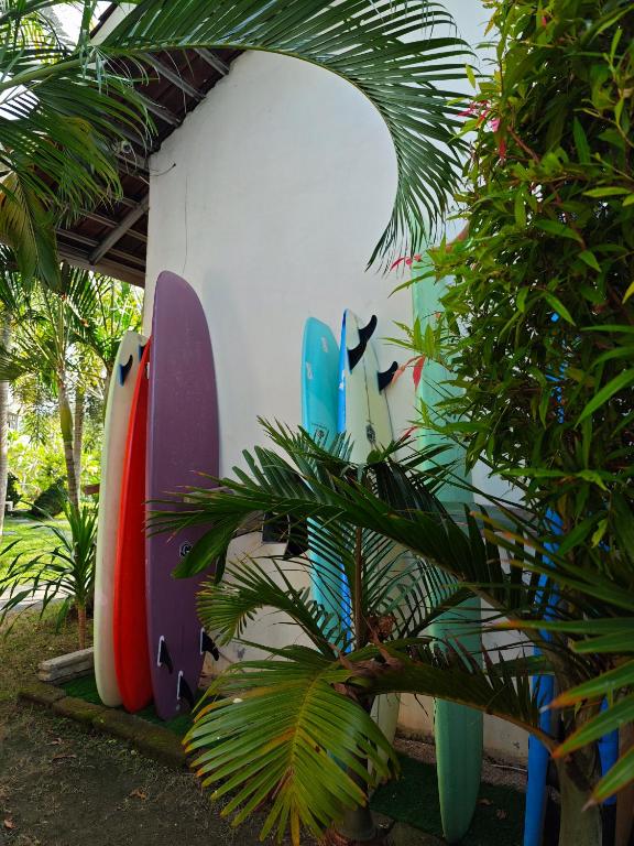 Zahrada ubytování Surf Camp 79
