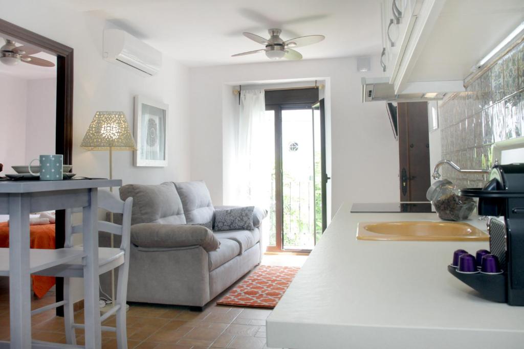 Apartamentos San Fernando 76 - Appartement Met één Slaapkamer