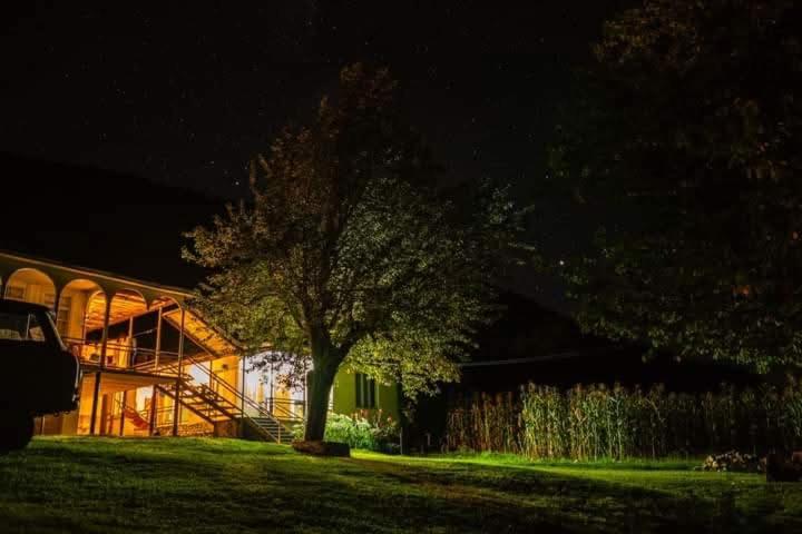 Zahrada ubytování Guest House Balda
