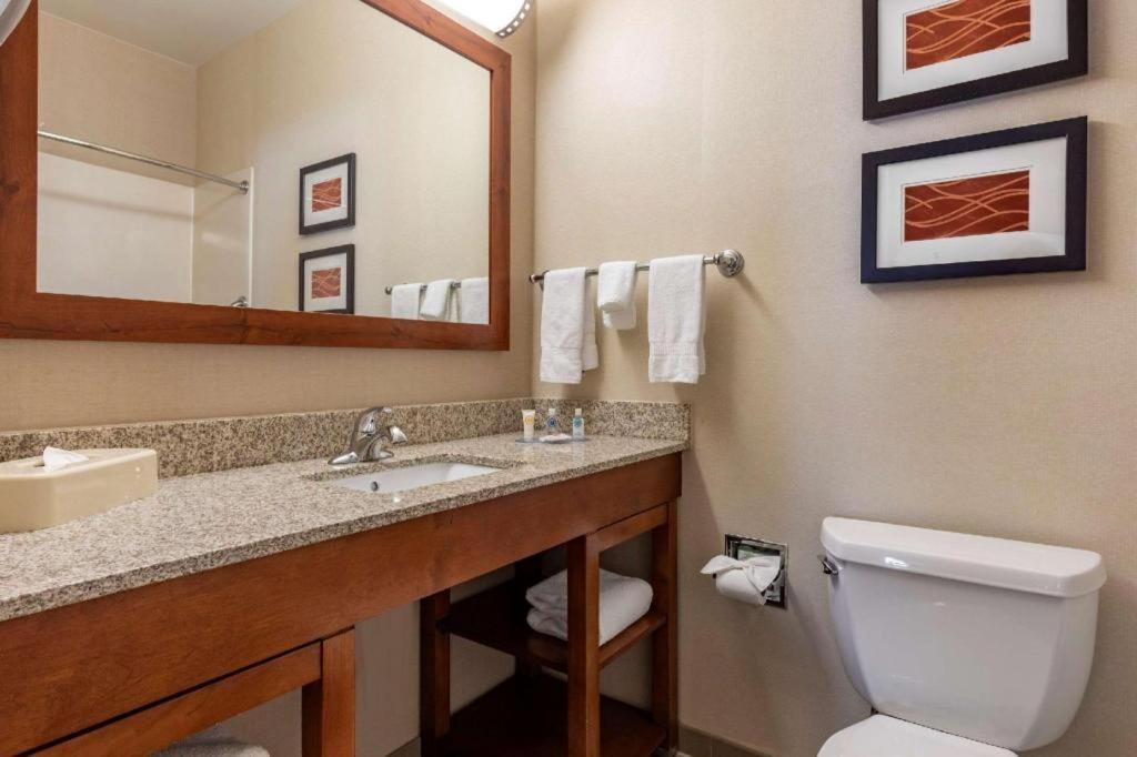 ダラスにあるComfort Inn DFW Airport Northの洗面台、トイレ、鏡のあるバスルーム