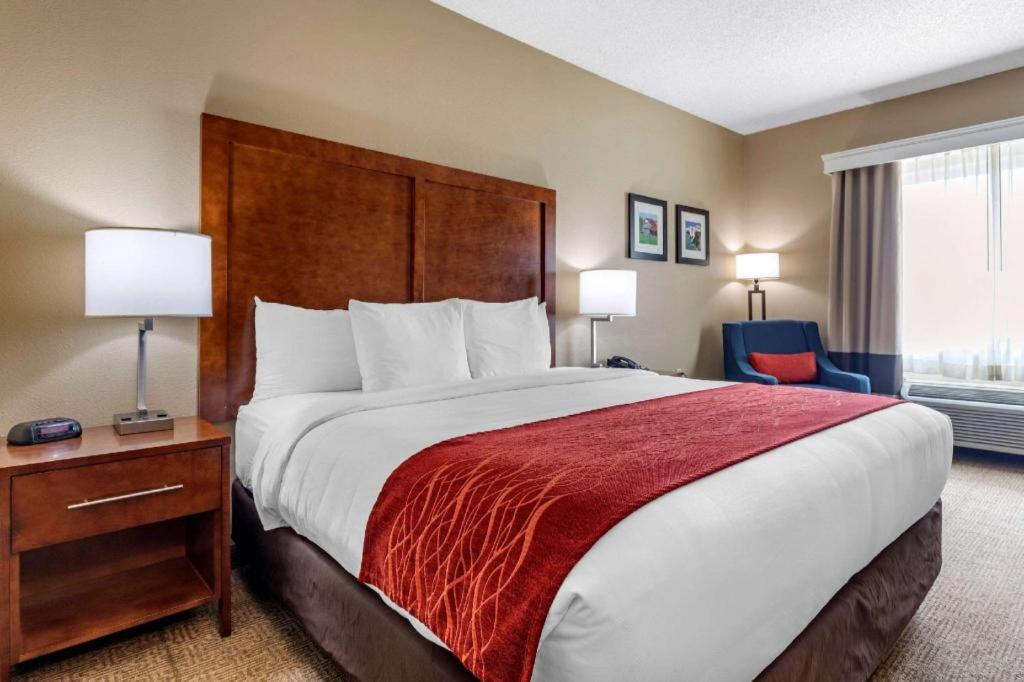 Comfort Inn DFW Airport Northにあるベッド