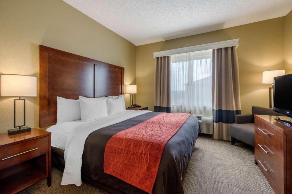ダラスにあるComfort Inn DFW Airport Northのベッドとテレビがあるホテルの部屋