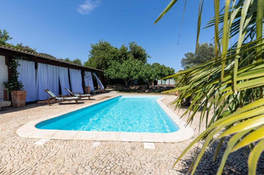 a swimming pool next to a house with a palm tree at Villa Niloan Olbia in Olbia