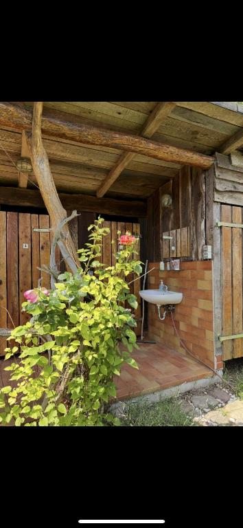 Fotografie z fotogalerie ubytování Nest v destinaci Penzlin