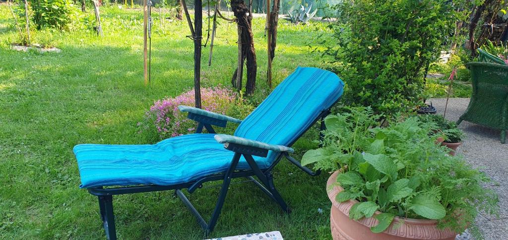 Aed väljaspool majutusasutust Casa Lorelein