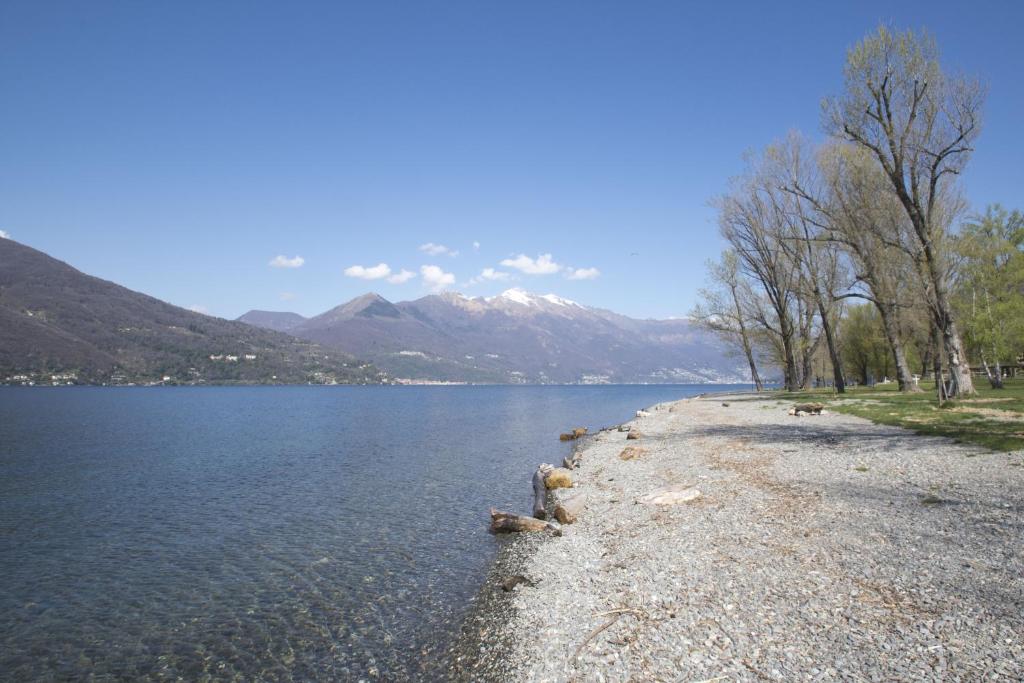 Un paisaje natural cerca del departamento