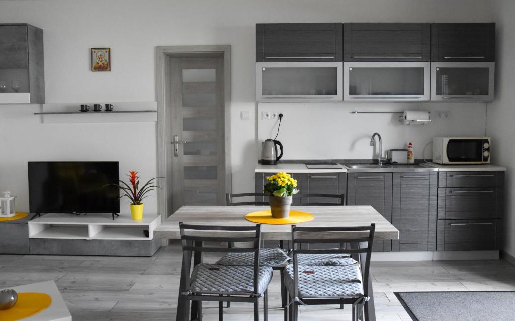 A kitchen or kitchenette at Apartmán u Braňa