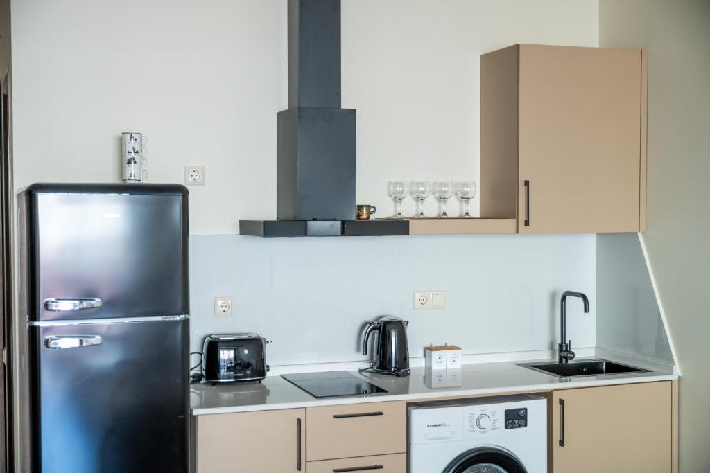Kuchyň nebo kuchyňský kout v ubytování Hotel Mireosi