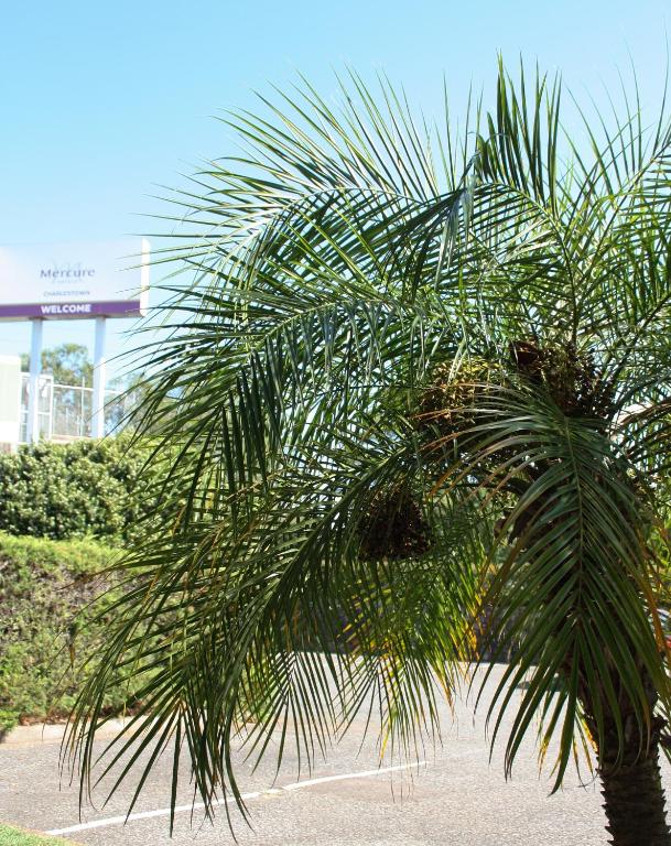 Mercure Charlestown - Resim 44