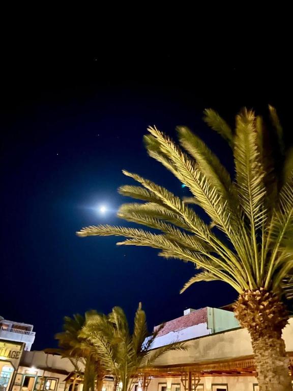 Fotografie z fotogalerie ubytování Mirage Village v destinaci Dahab