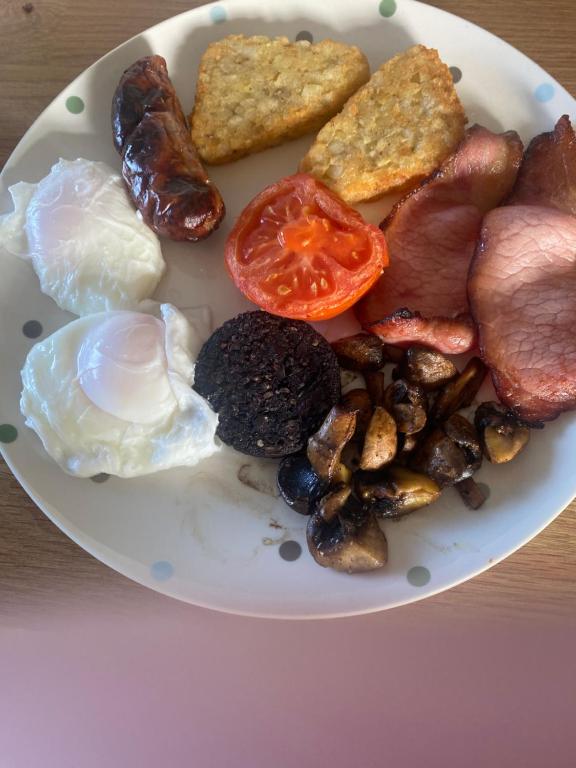 Dawn Chorus Holidays 5