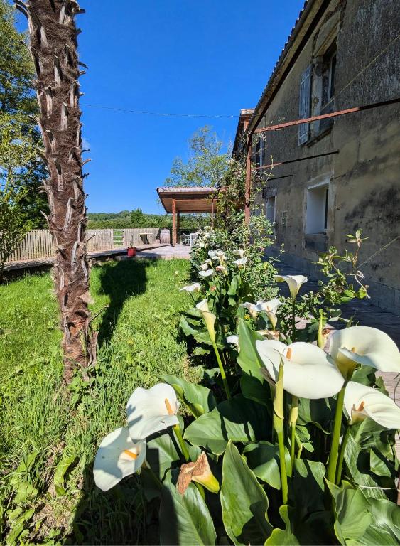 un jardin avec des fleurs blanches en face d'un bâtiment dans l'établissement Maison T3 dans moulin à eau, à Sainte-Marthe