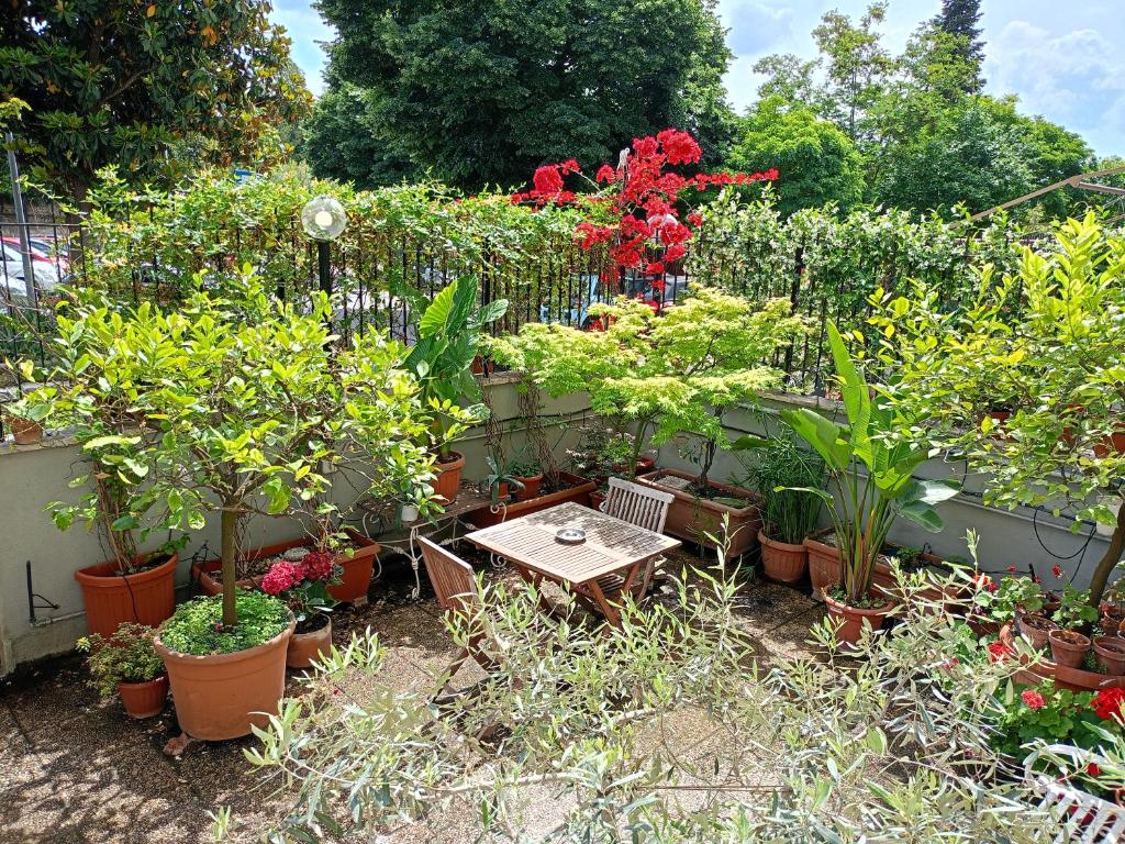 Zahrada ubytování Guest House Pi