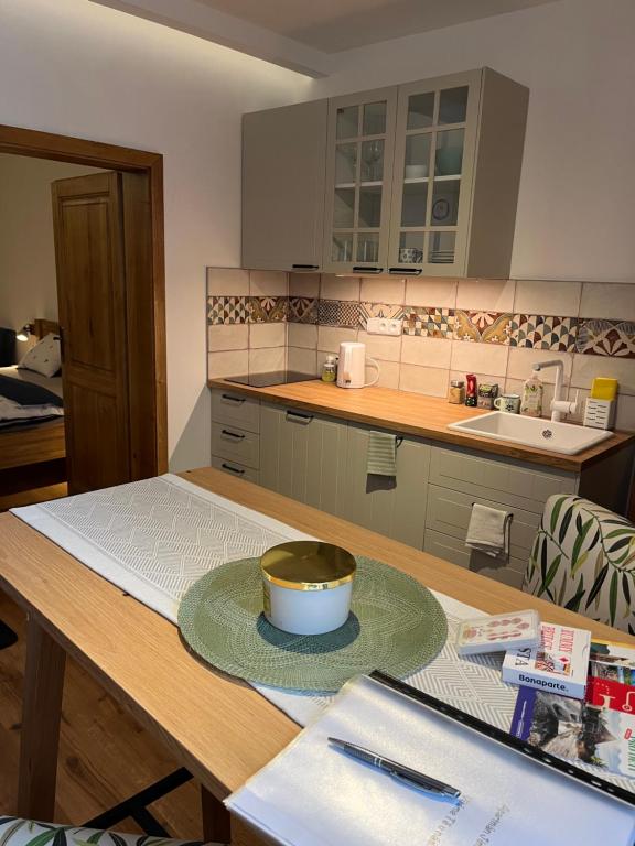 Kuchyň nebo kuchyňský kout v ubytování Apartmán Mick Jagger