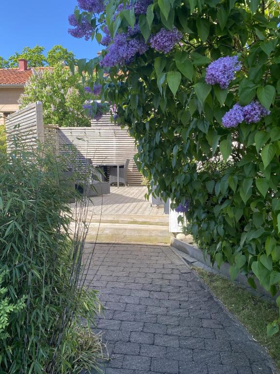 Zahrada ubytování Studio 51 Örgryte