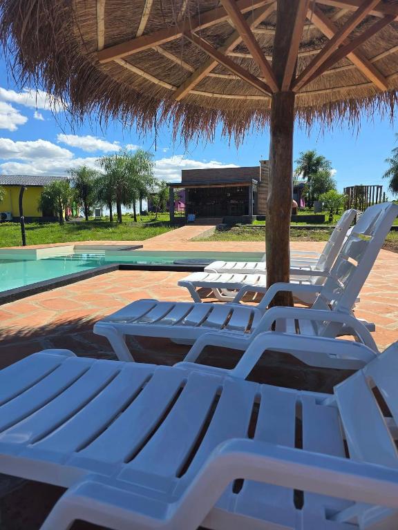 Piscina a SASH-Resort o a prop