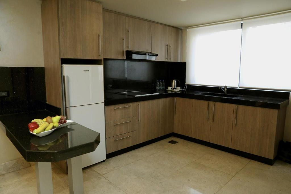 Kuchyň nebo kuchyňský kout v ubytování Imperial Suites Hotel