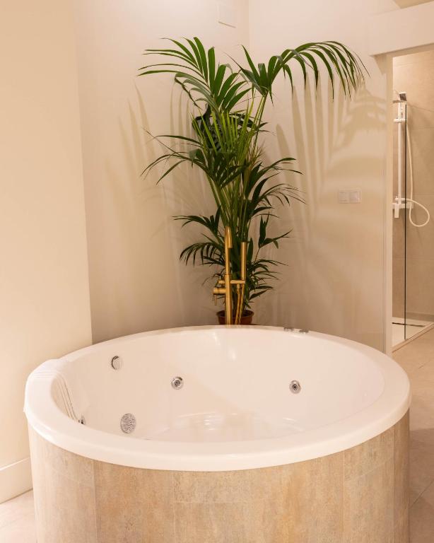 a bath tub with a plant in a bathroom at Reina Victoria El Mercado in Alicante