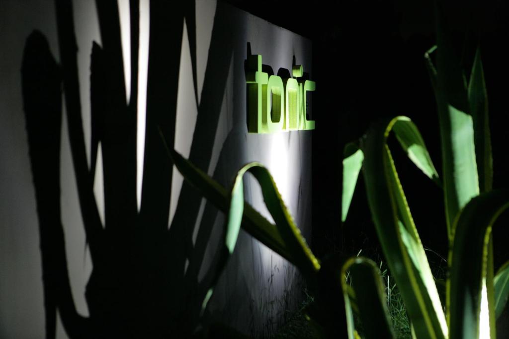 Fotografie z fotogalerie ubytování Tonic Hotel v destinaci Lovedale