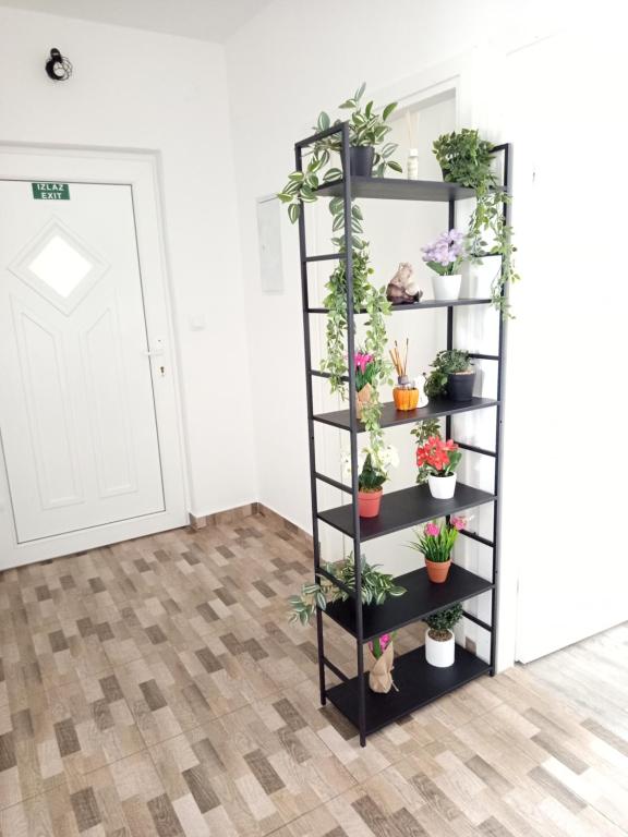 Fotografia z galérie ubytovania Apartmani Mirko Rovinj v Rovinj