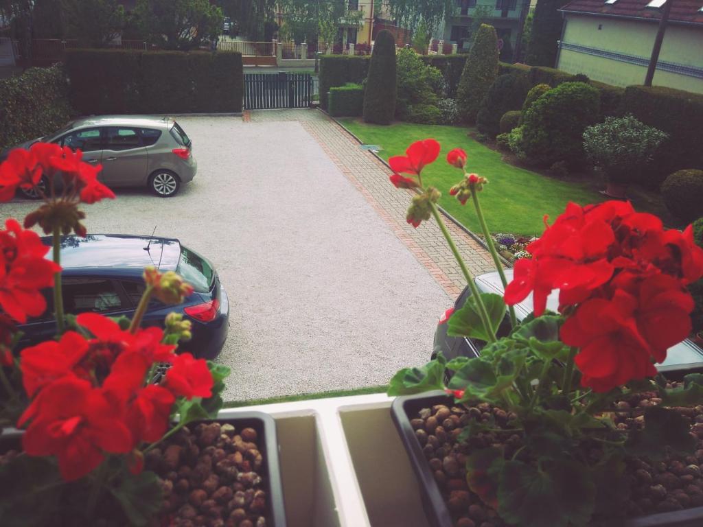 Vonkajšia záhrada v ubytovaní Klára Villa Apartman