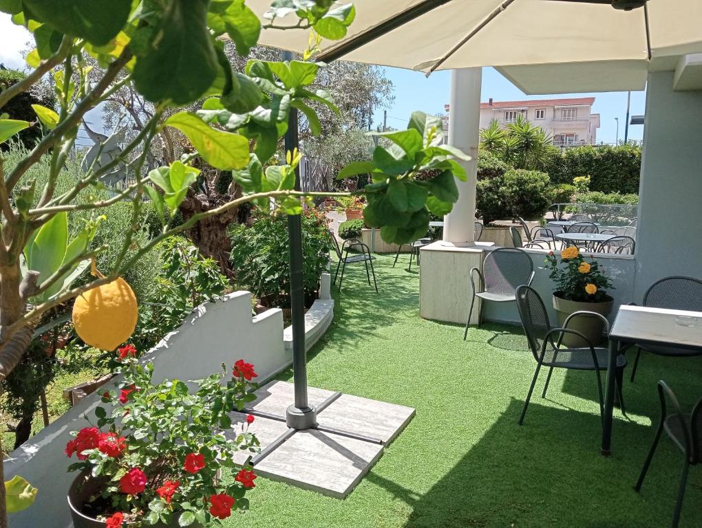 Zahrada ubytování Hotel Maiuri Pompei