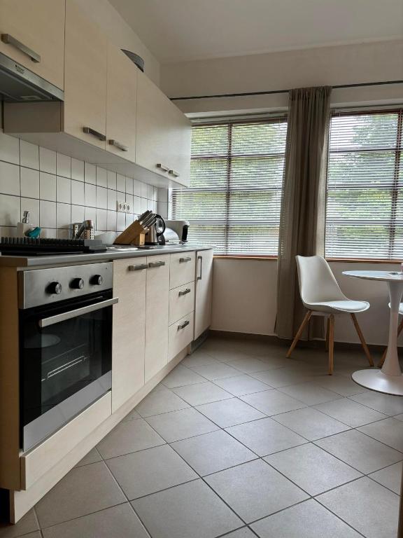 Kuchyňa alebo kuchynka v ubytovaní Karneol Apartman