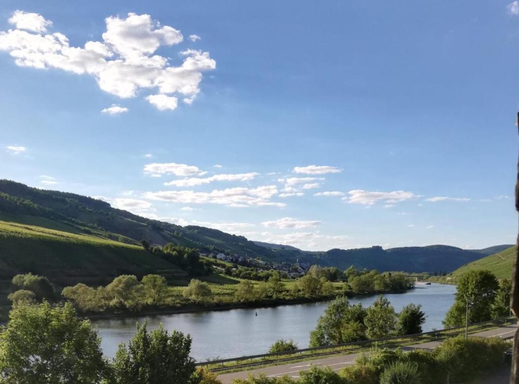a view of a river with mountains in the background at Moselhof in Burg
