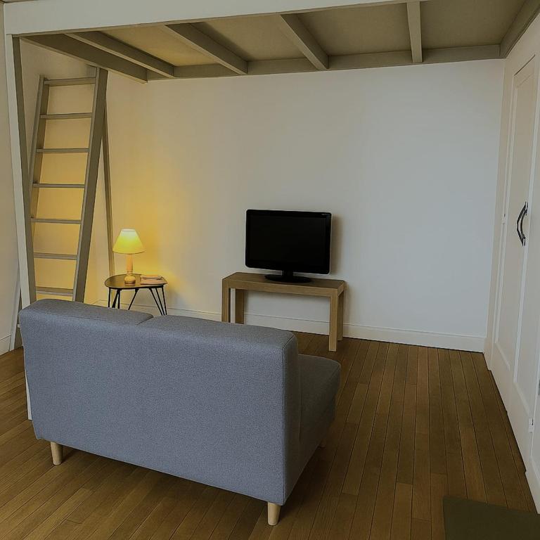 un salon avec un canapé et une télévision dans l'établissement Charming studio for 2 Quartier Terreaux Croix-Rousse, à Lyon