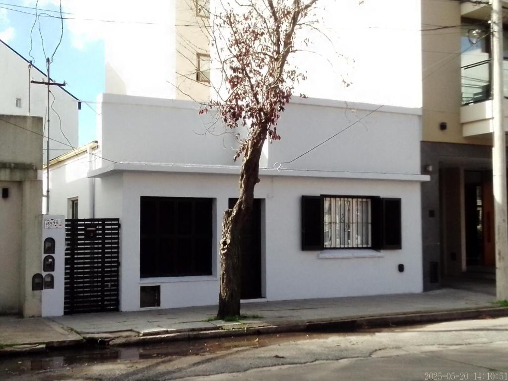 a white building with a tree in front of it at house city in Mar del Plata