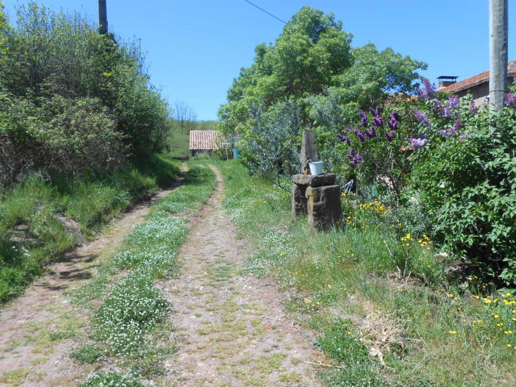 Zahrada ubytování Gîte des Monts