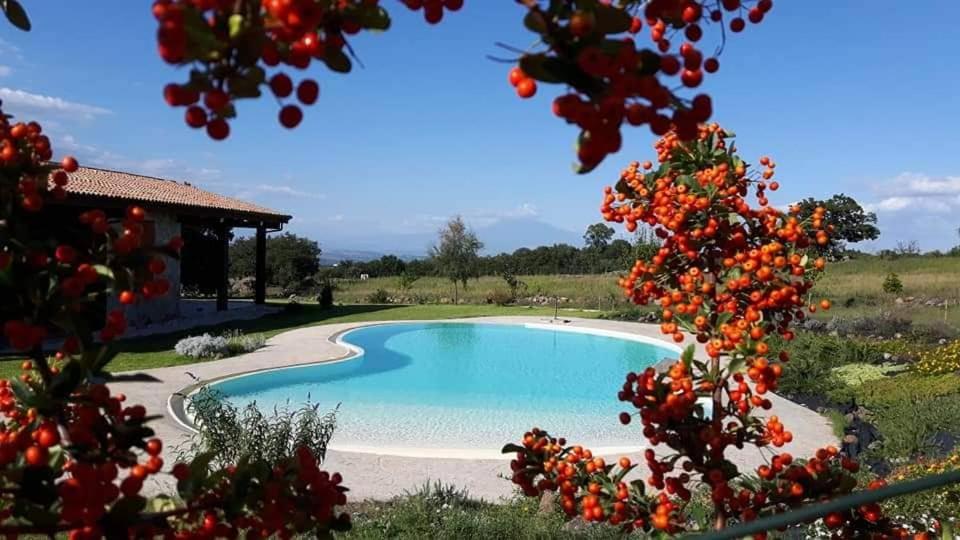 a swimming pool in a yard with a house at Tenuta Soria Location immersa nel verde con piscina privata in Frassino