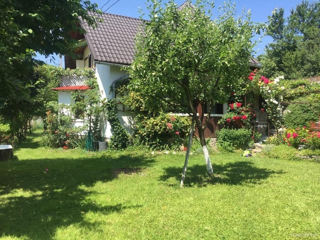Zahrada ubytování Cseke Kulcsosház