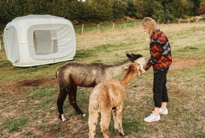 Fotografie z fotogalerie ubytování Alpaka Dream Unique Stay - Cube 