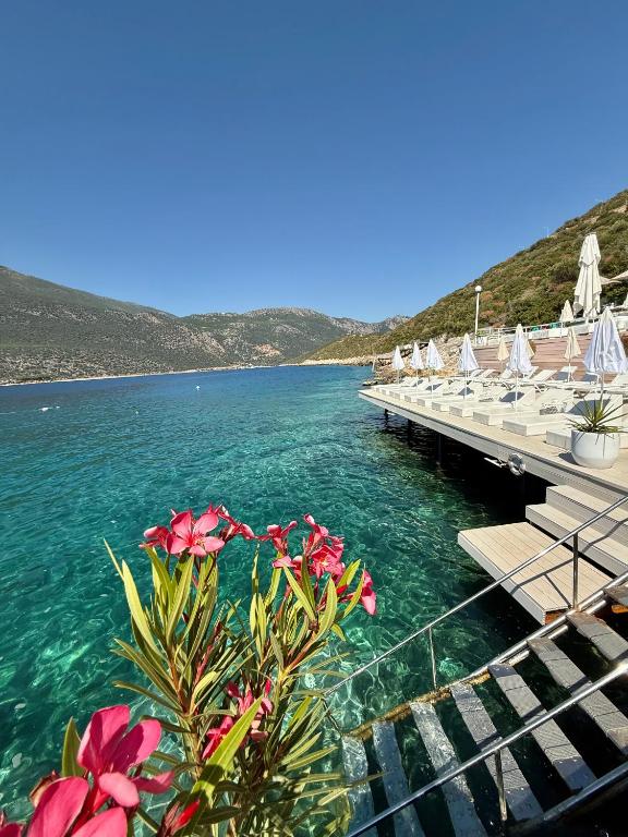 Táj a villa közelében