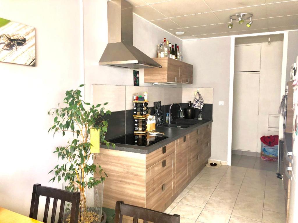 Kuchyň nebo kuchyňský kout v ubytování Chambre lit double pour 1 à 2 pers en Colocation