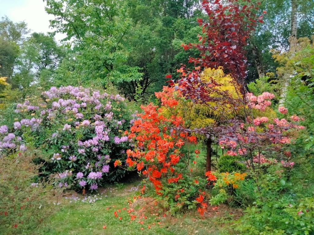 Gîte de l'Ermitage en Brocéliande 2 à 4 personnes