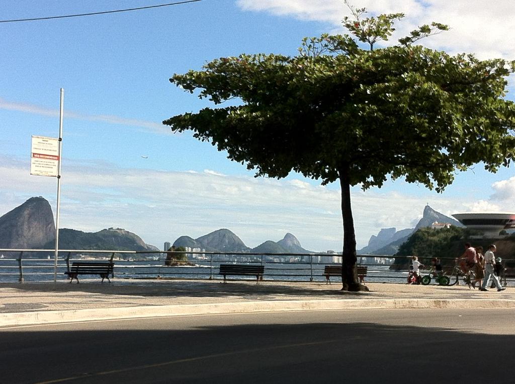 a tree on the side of a street with a view of the water at Apartament Rio Center in Niterói
