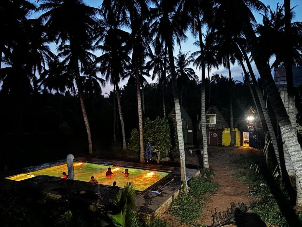 a group of people in a swimming pool at night at The Nature swimming resort in Puducherry
