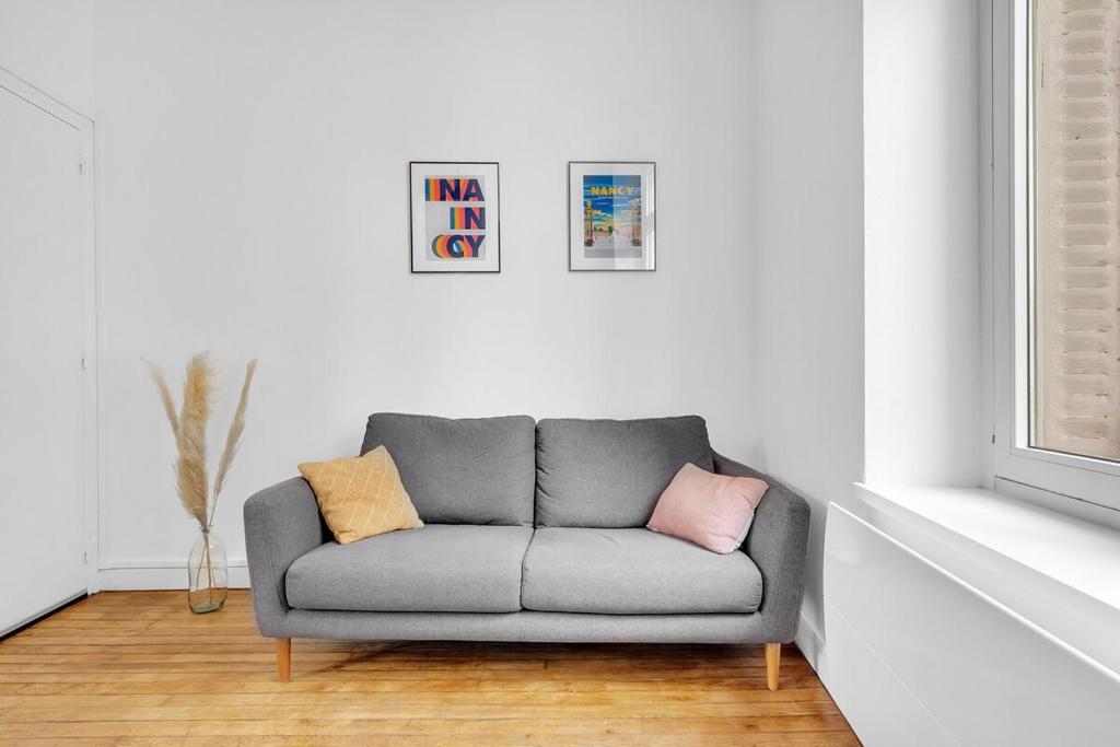 - un canapé gris installé dans un salon à côté d'une fenêtre dans l'établissement L'Art & Lettres - F2 pour 2 personnes - Fac de Lettre - Arrêt de Bus, à Nancy