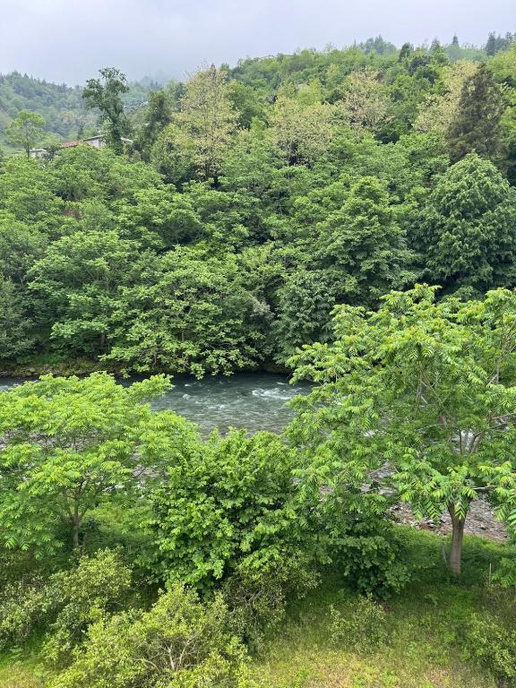 Příroda nedaleko prázdninového domu