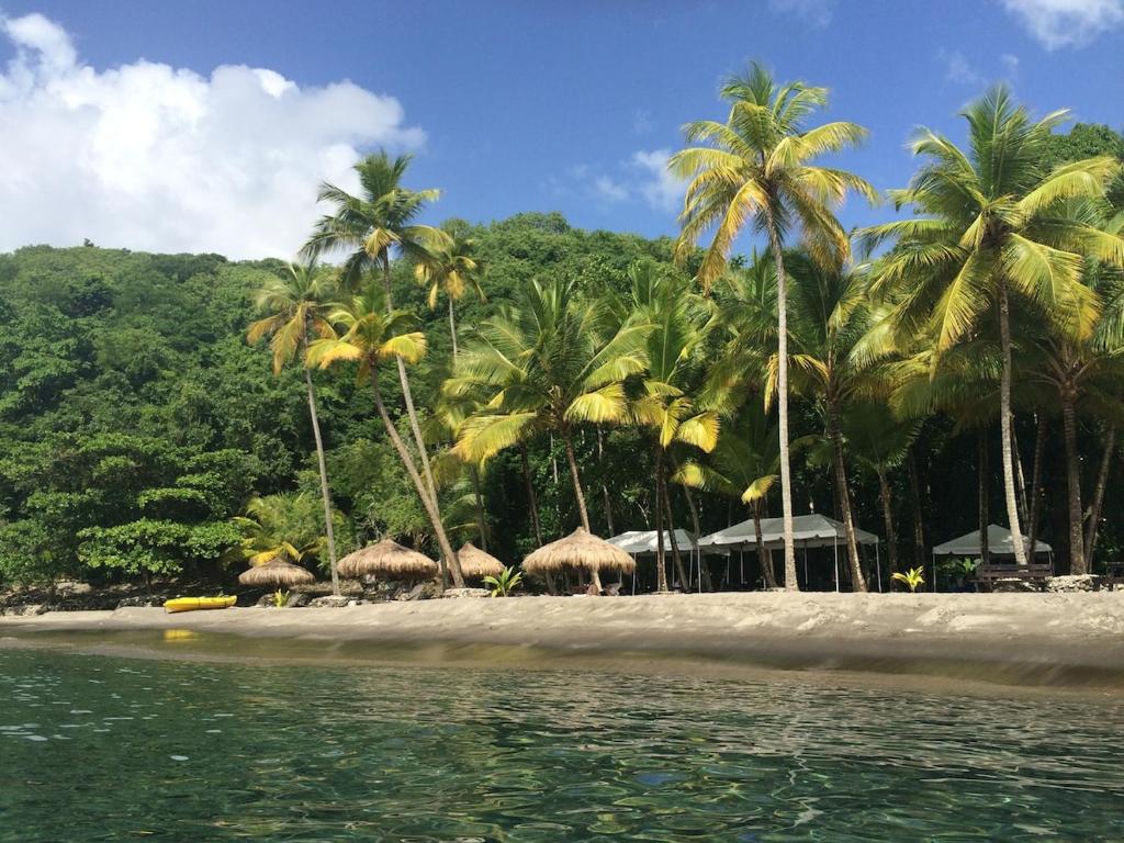 einen Strand mit Palmen und Sonnenschirmen und dem Wasser in der Unterkunft Treehouse Hideaway Villa II - Amazing Piton Views in Soufrière