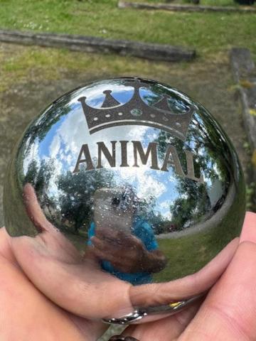 CAMPING ANIMAL KING - 移动房屋