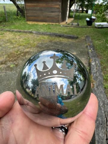 CAMPING ANIMAL KING - 小木屋