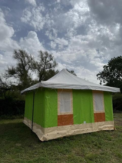 CAMPING ANIMAL KING - 两卧室平房