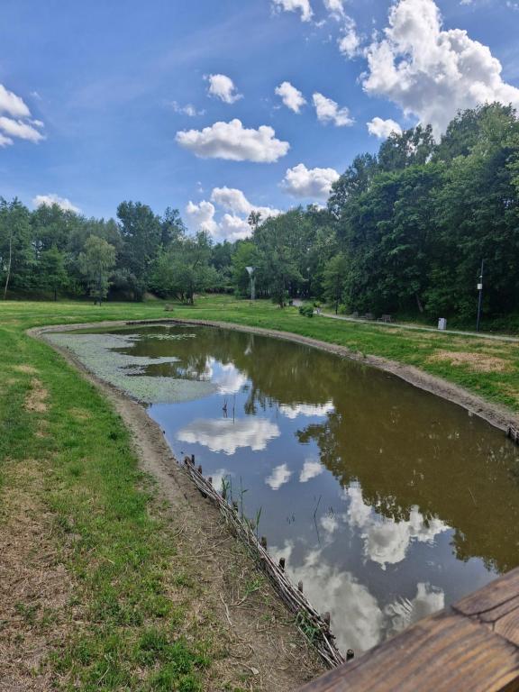 Przyroda w pobliżu tego apartamentu
