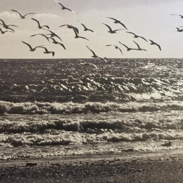 The Marbella Heights Boutique Hotel - Resim 24