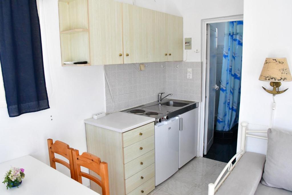 Kuchyň nebo kuchyňský kout v ubytování Blue Dolphin Studios and Apartment